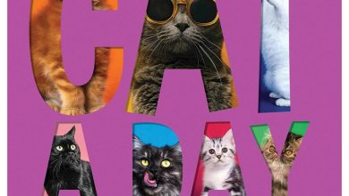 Cat A Day Desk Calendar 2026