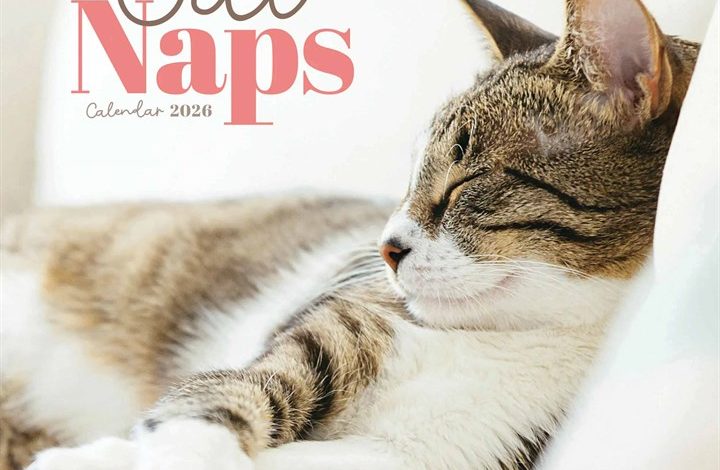 Cat Naps Mini Calendar 2026
