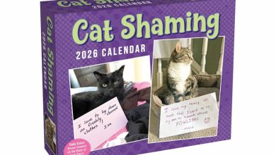 Cat Shaming Desk Calendar 2026