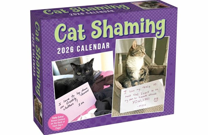 Cat Shaming Desk Calendar 2026