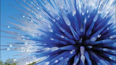 Chihuly Calendar 2026