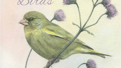 Chris Pendleton's Garden Birds Calendar 2026