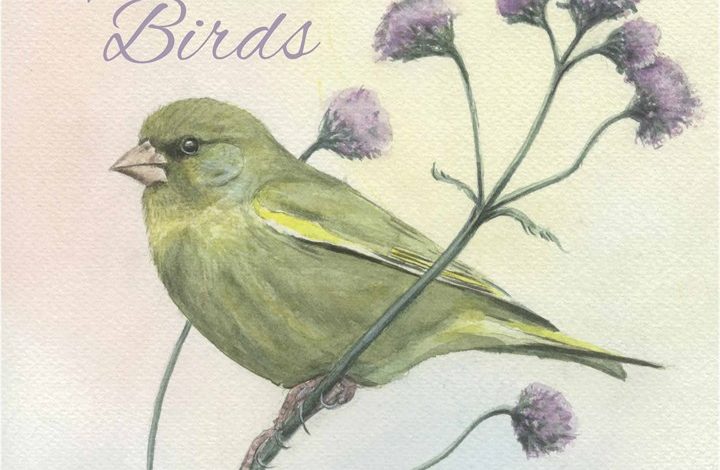 Chris Pendleton's Garden Birds Calendar 2026