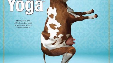 Cow Yoga Calendar 2026