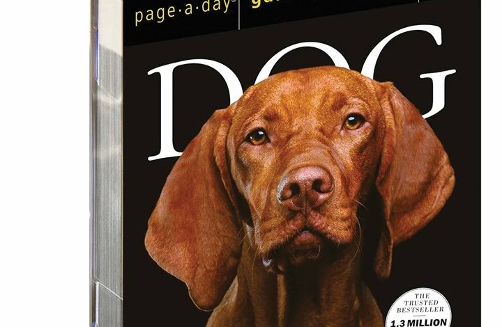Dog Gallery Desk Calendar 2026