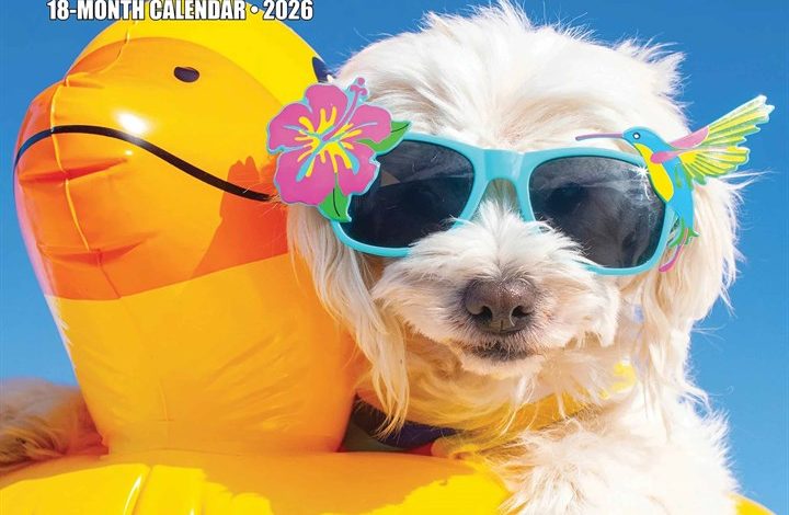 Dog Gone It Calendar 2026