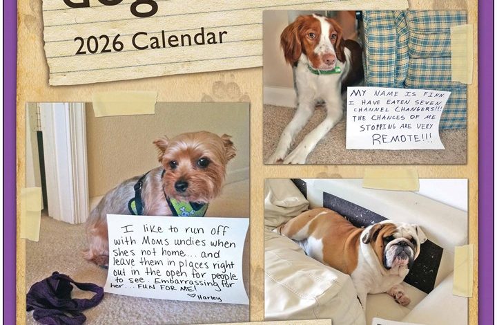 Dog Shaming Calendar 2026