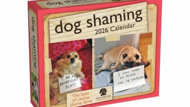 Dog Shaming Desk Calendar 2026