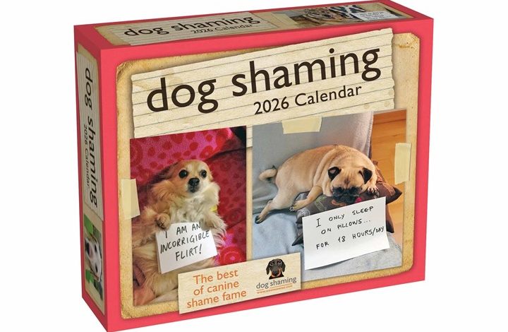 Dog Shaming Desk Calendar 2026