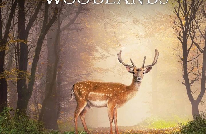 Dwellers Of The Woodlands Calendar 2026