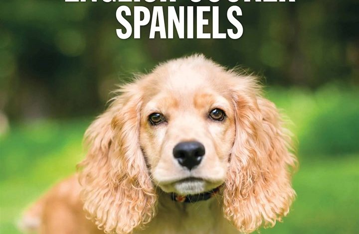 English Cocker Spaniels Calendar 2026