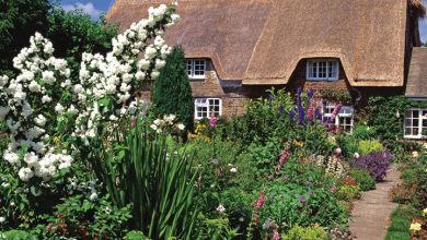 English Cottage Gardens Calendar 2026