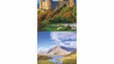 Eryri Snowdonia Slim Calendar 2026