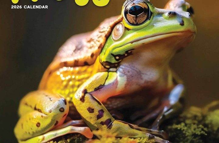 Frogs Calendar 2026