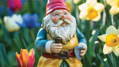 Garden Gnomes Calendar 2026