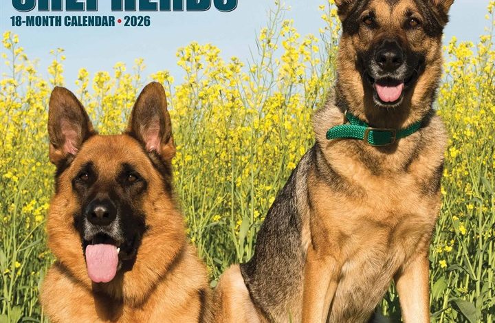 German Shepherds Calendar 2026