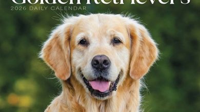 Golden Retrievers Desk Calendar 2026