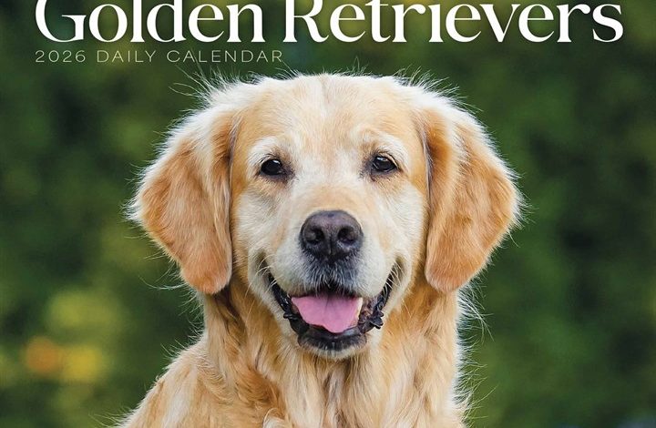 Golden Retrievers Desk Calendar 2026