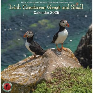 Irish Creatures Great & Small Mini Calendar 2026