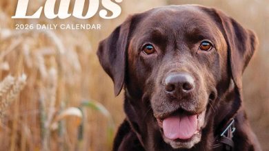 Labrador Retrievers Desk Calendar 2026