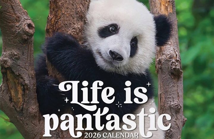 Life is Pandastic Calendar 2026