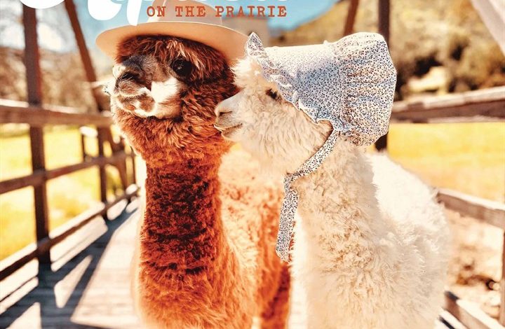 Little Alpaca on the Prairie Calendar 2026