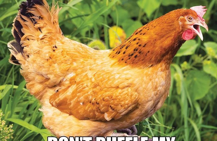 No Clucks Given Calendar 2026