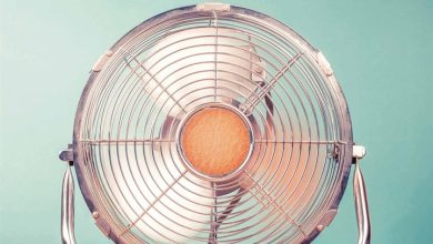 Only Fans Calendar 2026