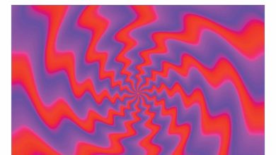 Optical Illusions Calendar 2026