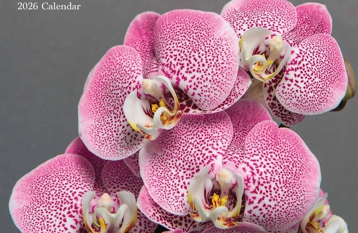 Orchids Calendar 2026