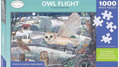 Owl Flight Jigsaw