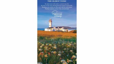 Patience Strong Slim Calendar 2026