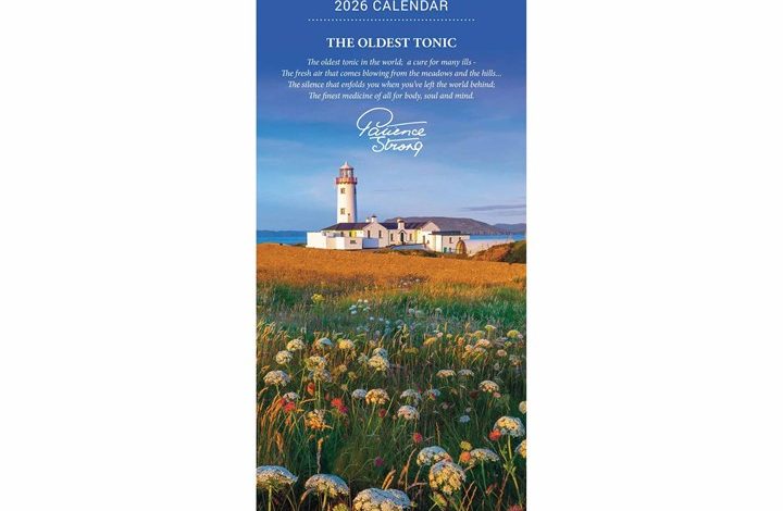 Patience Strong Slim Calendar 2026