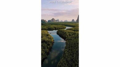 Planet Earth Deluxe Slim Calendar 2026