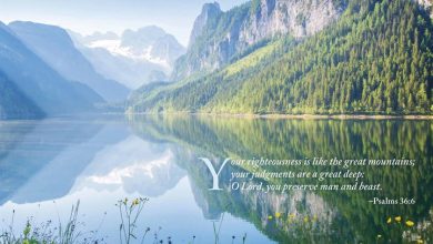 Psalms Calendar 2026