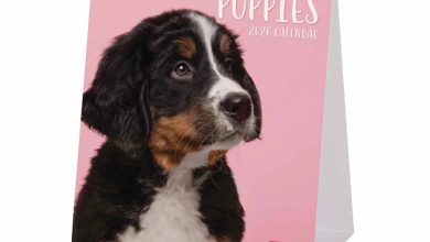 Puppies Easel Desk Calendar 2026