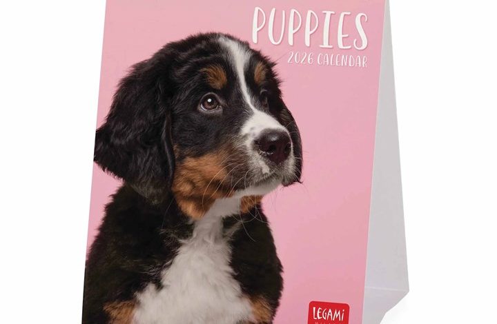 Puppies Easel Desk Calendar 2026