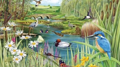 Rivers Edge Jigsaw