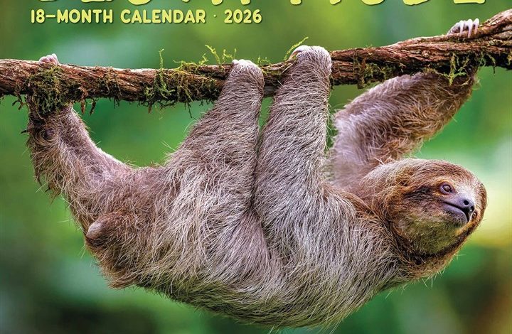 Sloth Mode Calendar 2026