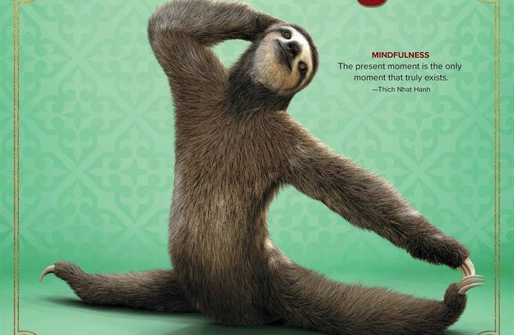 Sloth Yoga Calendar 2026
