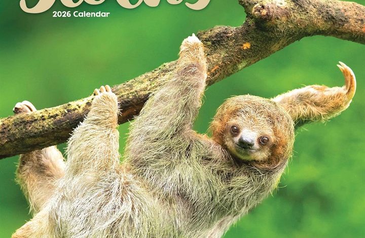 Sloths Calendar 2026