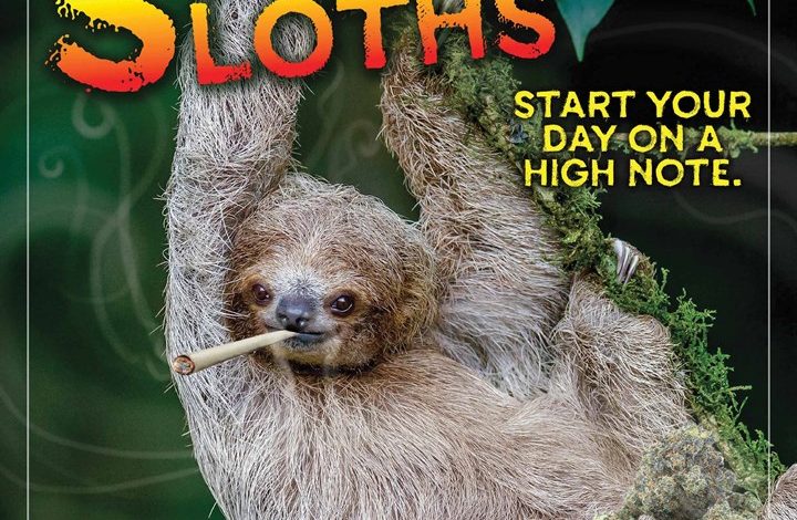 Stoner Sloths Calendar 2026