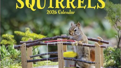 The Secret Life Of Squirrels Calendar 2026