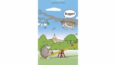 Twizler Funny Moments Slim Calendar 2026