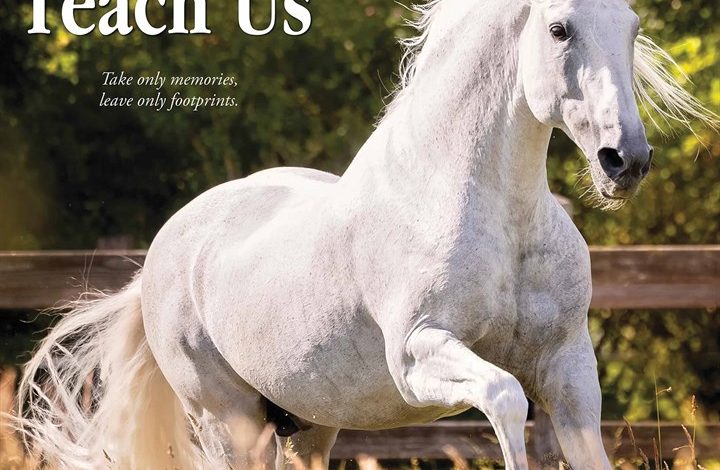 What Horses Teach Us Calendar 2026