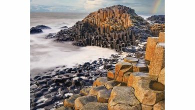 Wild Ireland A5 Calendar 2026