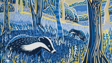 Annie Soudain