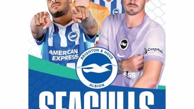 Brighton & Hove Albion FC A3 Calendar 2026