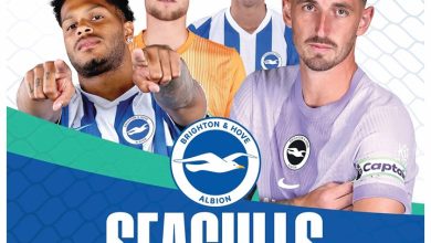 Brighton & Hove Albion FC Easel Desk Calendar 2026