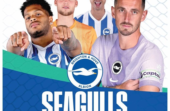 Brighton & Hove Albion FC Easel Desk Calendar 2026